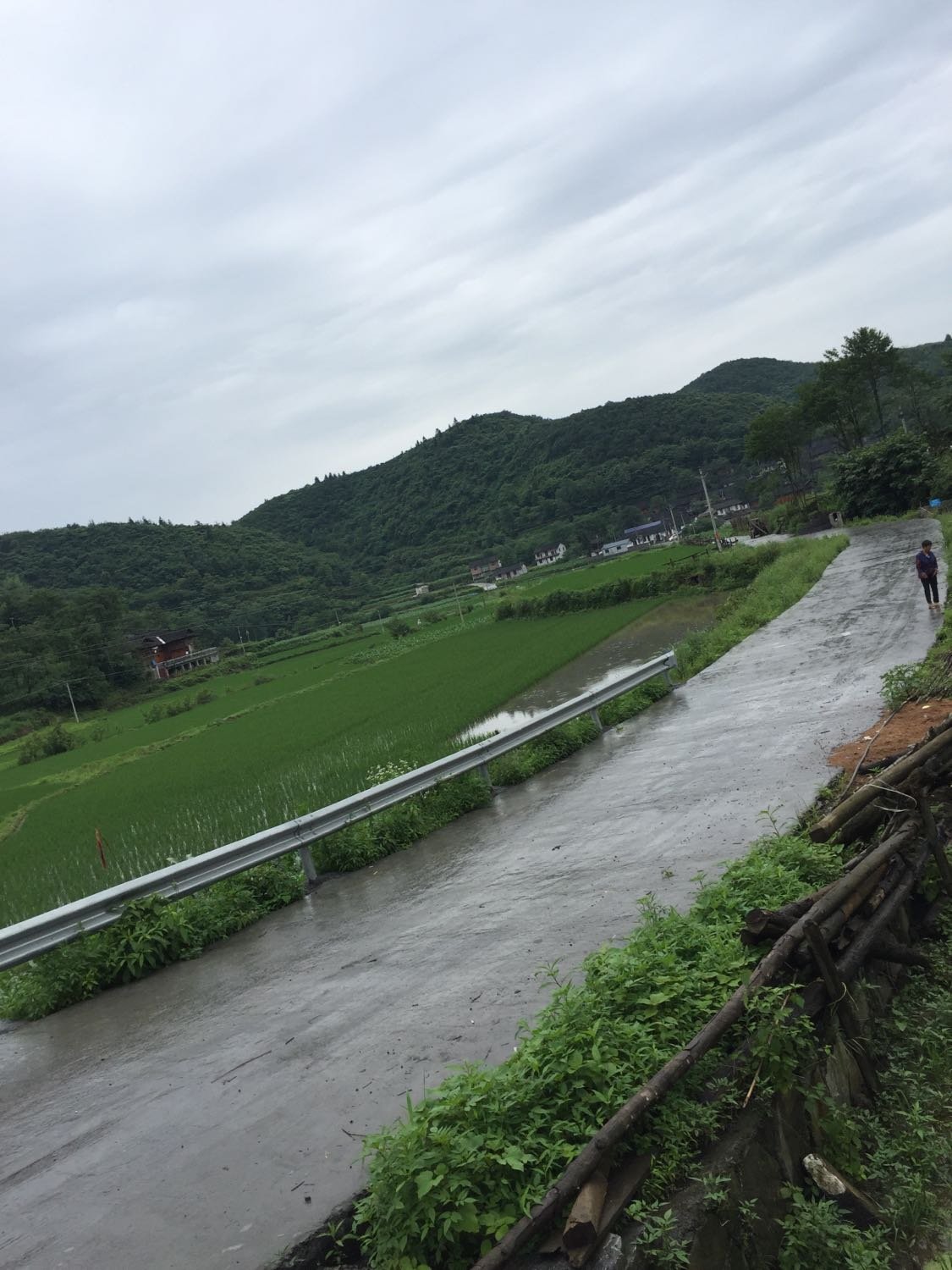 橋盟鄉最新天氣預報通知