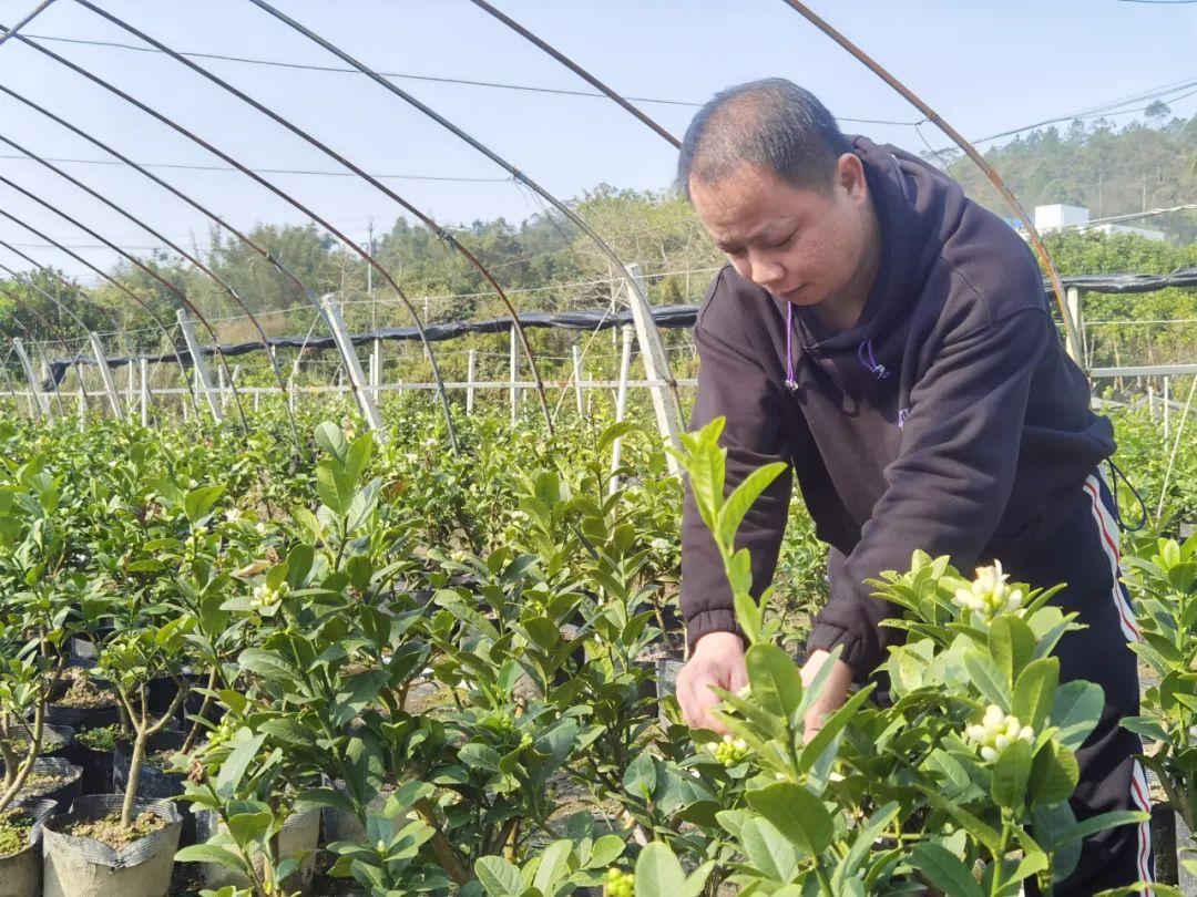 肇慶市食品藥品監督管理局加強監管項目，確保食品藥品安全