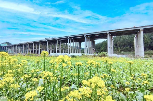 石埠街道新項目，先鋒力量引領城市發展之路