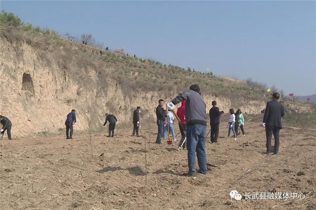 色林村新任領導，鄉村振興的領航者