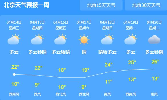 2024年12月6日 第2頁