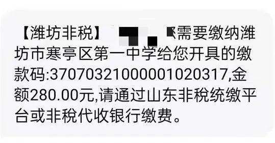 寒亭區財政局新項目啟動，推動區域經濟騰飛的重要舉措