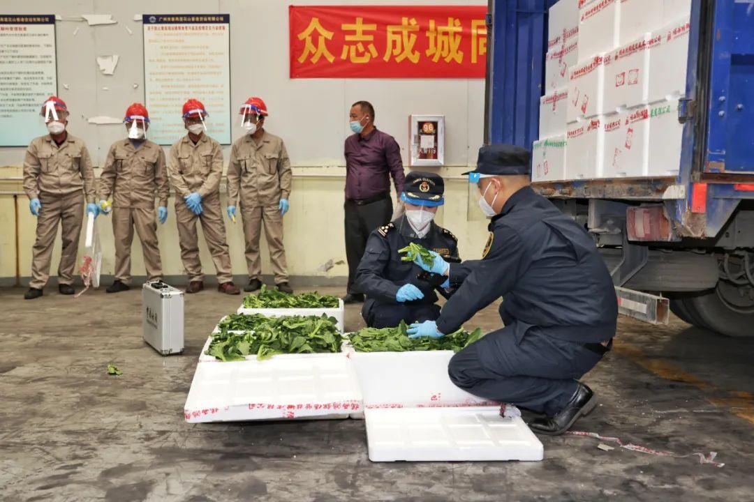 揭西縣應急管理局領導團隊全新亮相，工作展望與未來展望