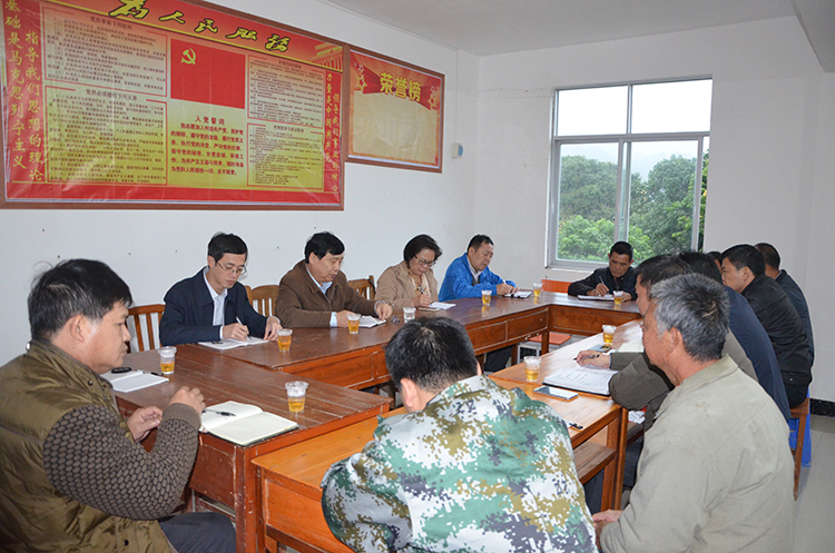 單嶺村委會領導團隊全新亮相，展望未來發展之路