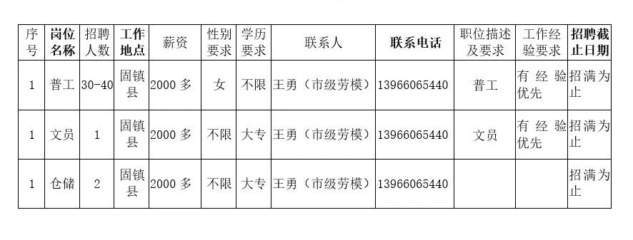 毛俊鎮最新招聘信息全面解析