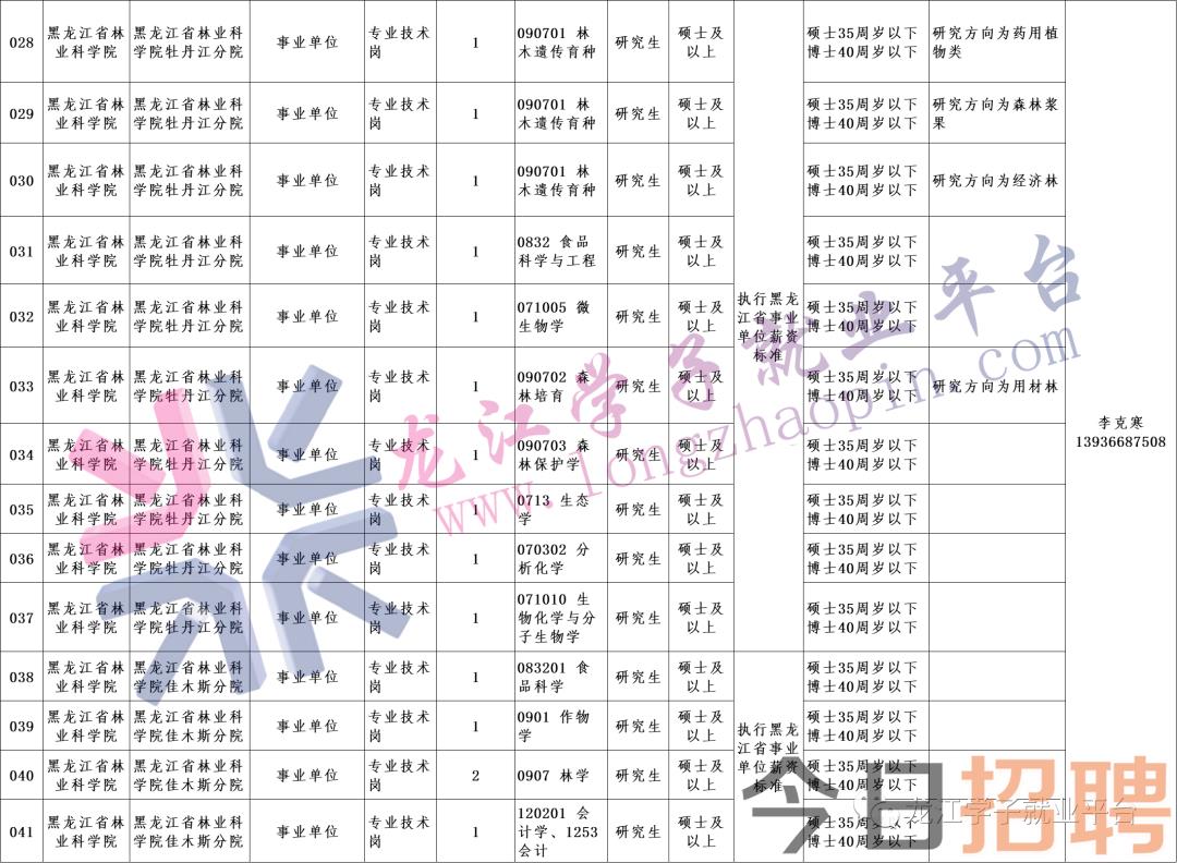 北林區科學技術和工業信息化局招聘啟事，最新職位概覽