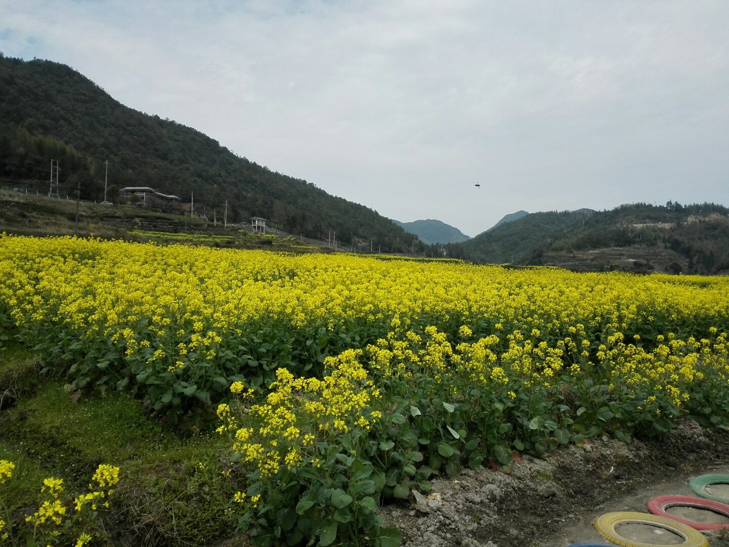 潭頭鄉最新天氣預報信息