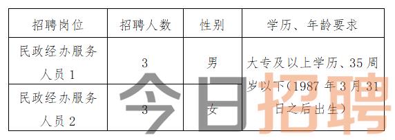 西湖區民政局最新招聘信息全面解析