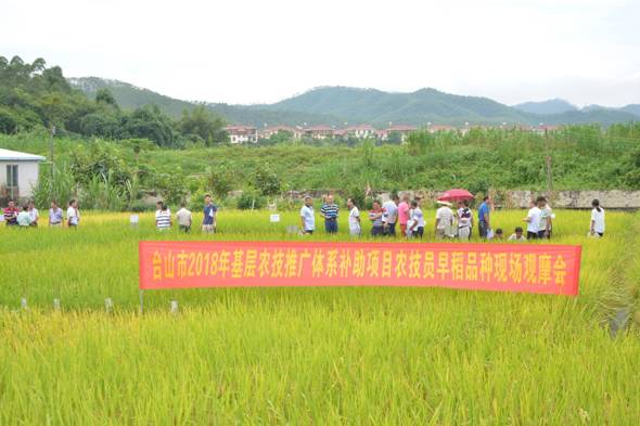 孝義市農業農村局新項目推動農業現代化助力鄉村振興