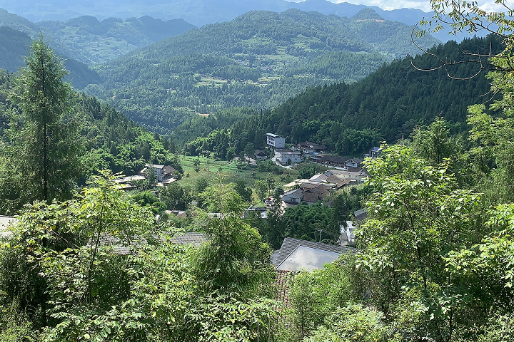 彭水苗族土家族自治縣農業農村局最新項目概覽，推動農業現代化與鄉村振興融合發展