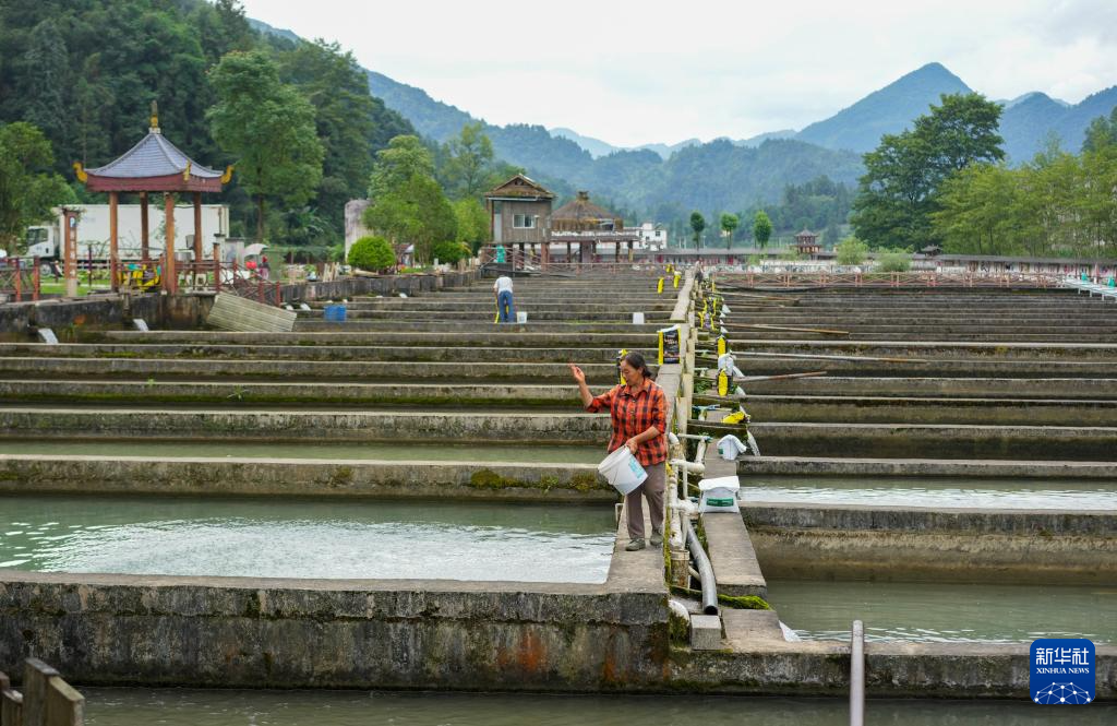 彭水苗族土家族自治縣農業農村局最新項目概覽，推動農業現代化與鄉村振興融合發展