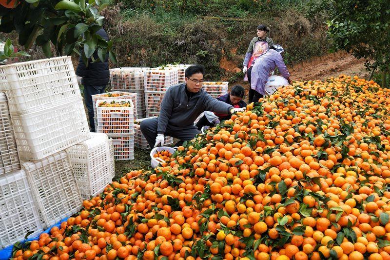 那佐苗族鄉天氣預報更新通知