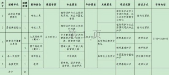 北湖區人民政府辦公室最新招聘公告概覽