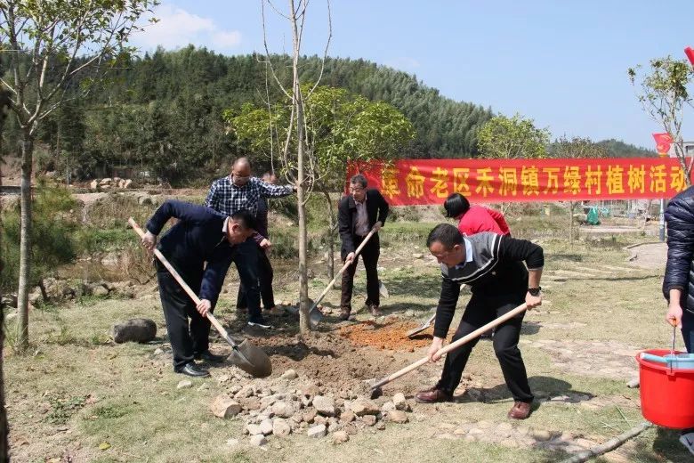 禾洞鎮最新領導團隊，引領未來，塑造新篇章