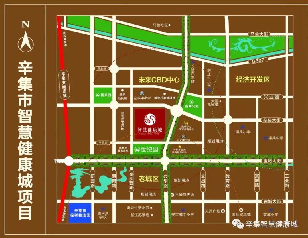 辛集市計劃生育委員會發展規劃展望，未來展望與策略布局