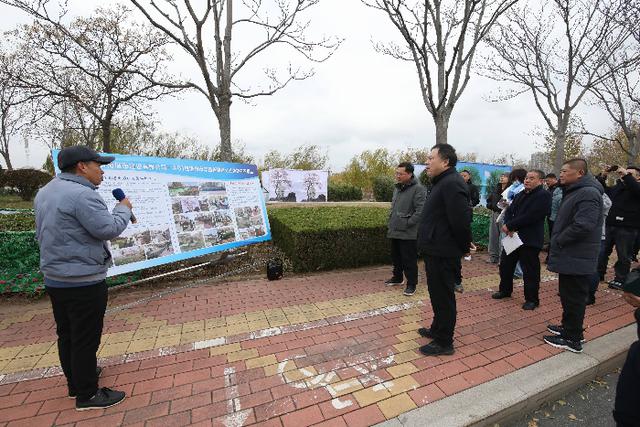 濱州市園林管理局啟動新項目重塑城市綠色生態景觀