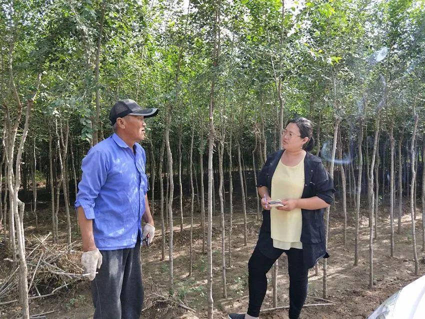 額爾登布拉格蘇木鄉天氣預報更新通知