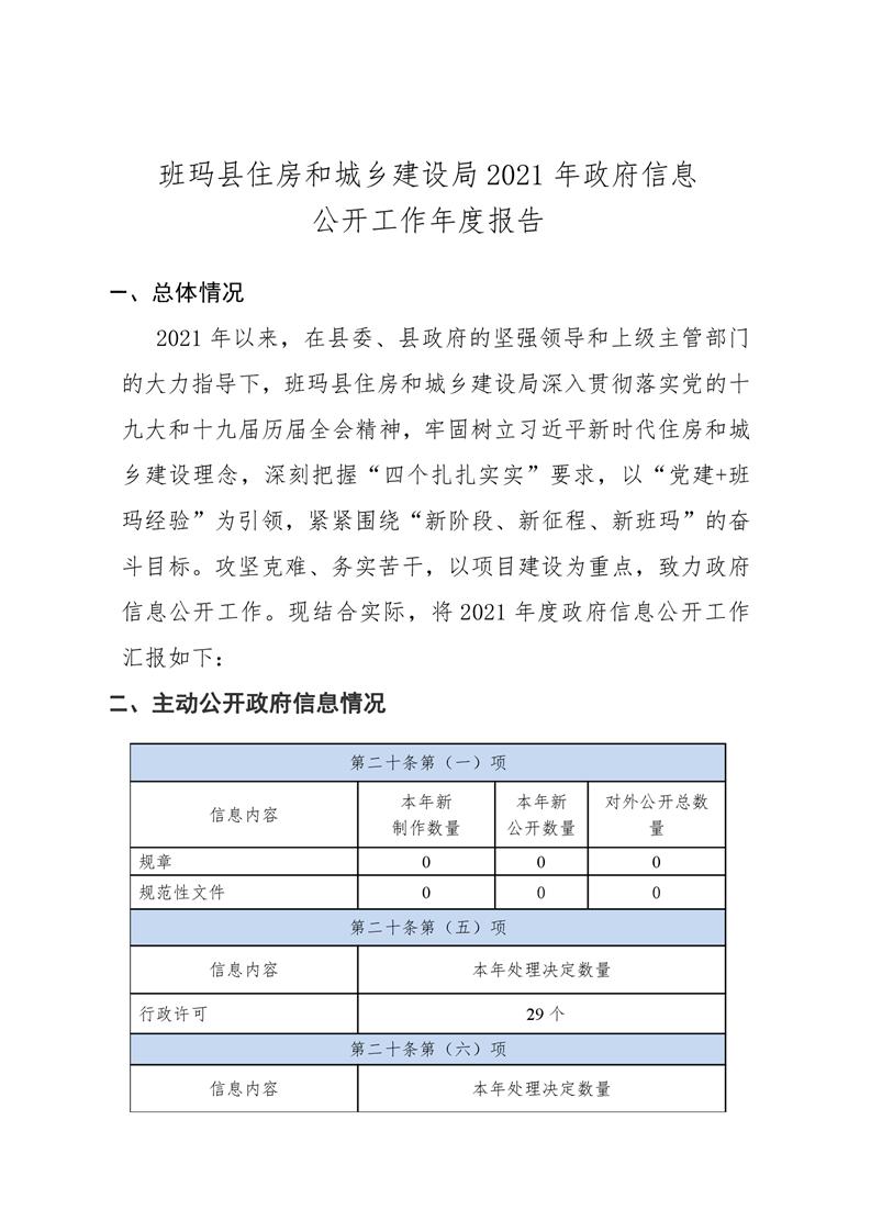 潞西市數據和政務服務局發展規劃探討