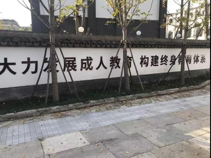 臨海市成人教育事業單位邁向新時代，助力成人教育再發展最新報道