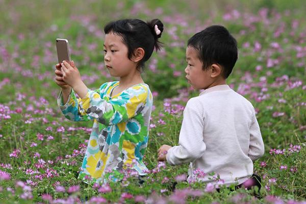 雙牌縣人民政府辦公室領導團隊全新亮相，未來工作展望與戰略規劃