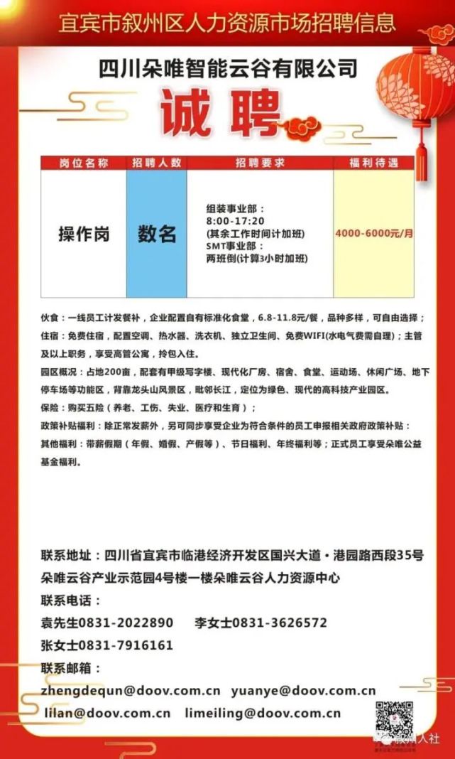 嘎婁最新招聘信息深度解析與探討