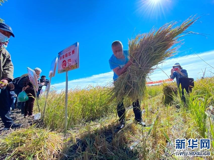 扎賚特旗科學技術和工業信息化局最新招聘信息