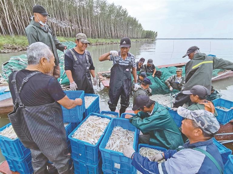 杜爾伯特蒙古族自治縣退役軍人事務局最新項目概述