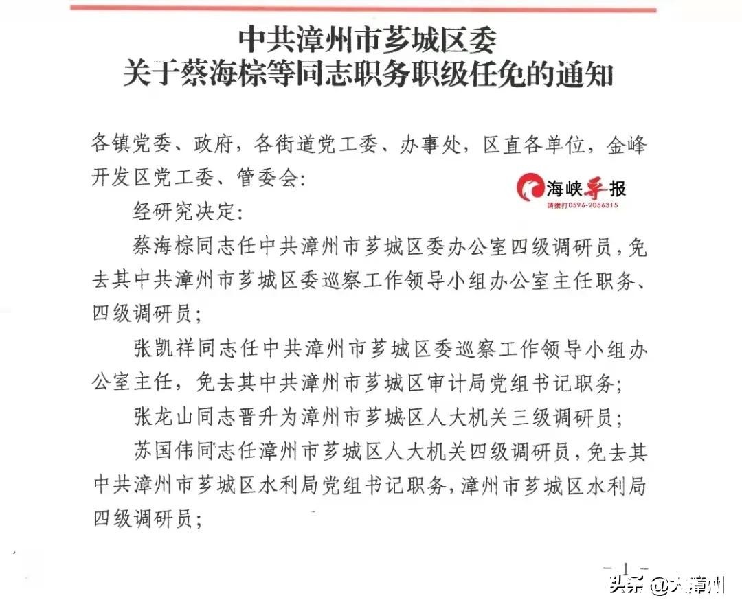 城區統計局人事任命揭曉，新任領導將如何影響未來發展？