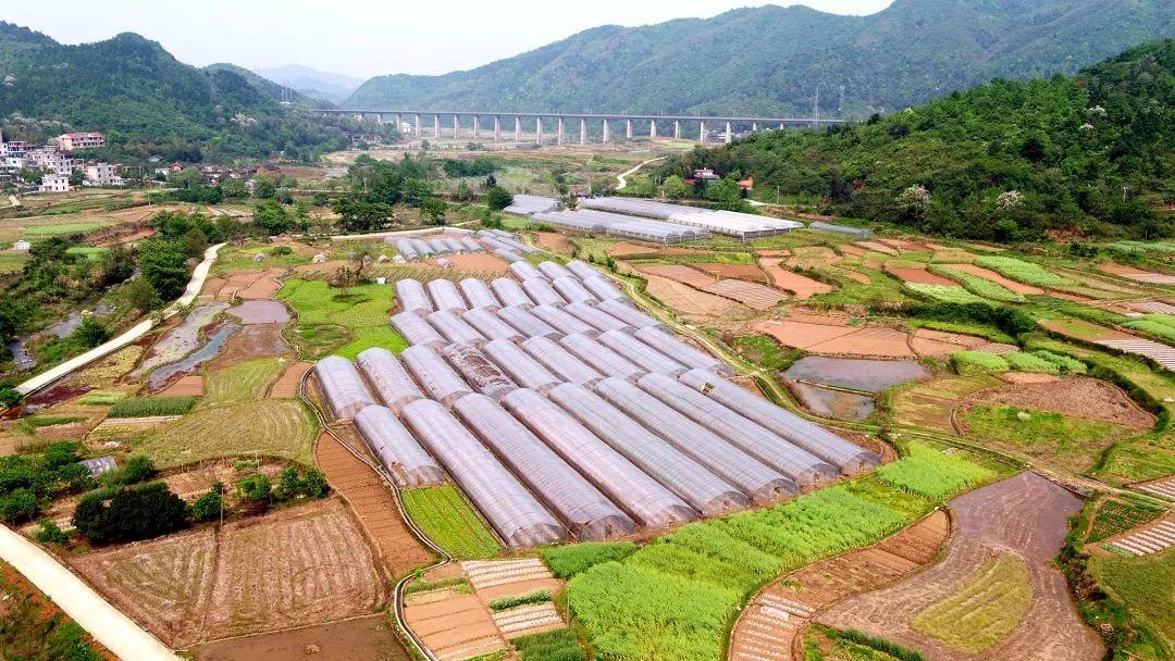 北湖區住房和城鄉建設局最新發展規劃概覽