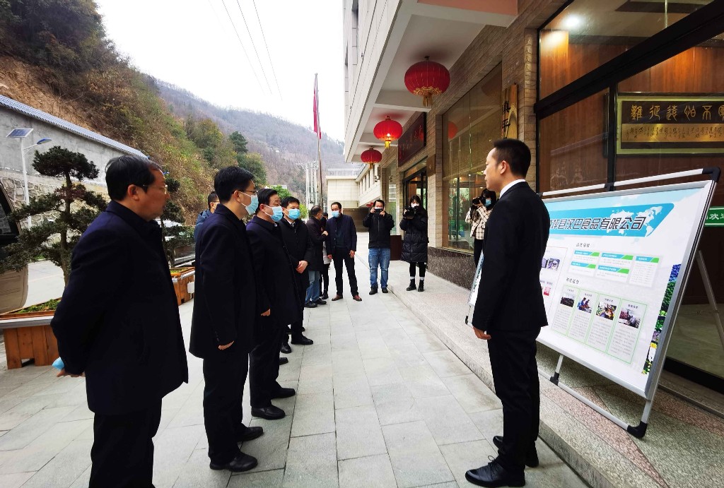 鎮坪縣住房和城鄉建設局推動城市更新，提升居民生活質量新動態