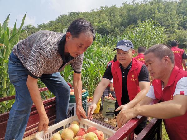 濟源市民政局發展規劃，構建和諧社會，推動民政事業創新前行