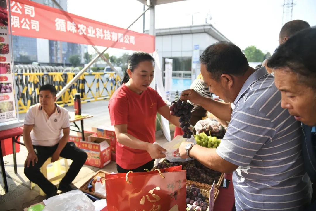 華龍區科技局最新新聞深度報道