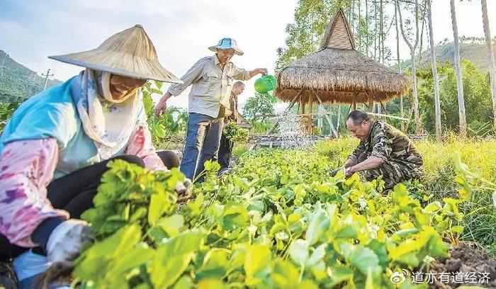 大連華僑果樹農場新領導團隊引領邁向發展新高地