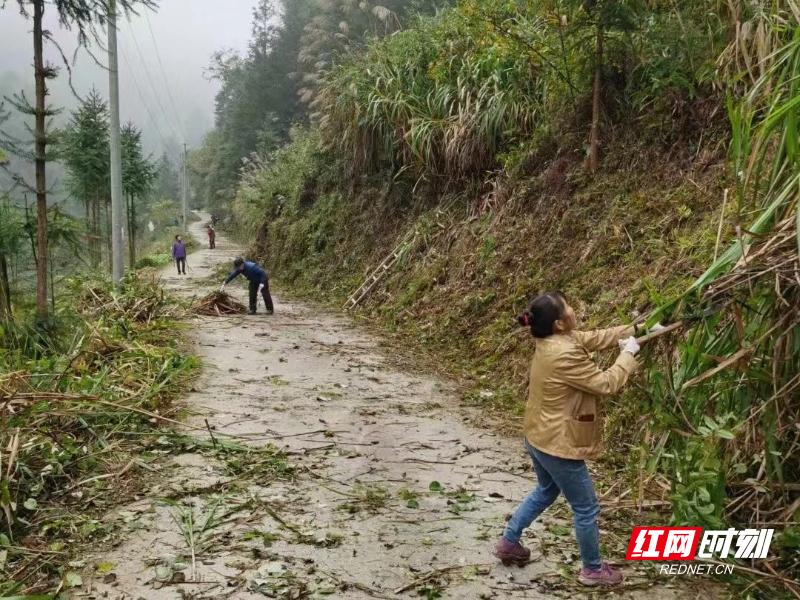 桑植縣衛生健康局最新發展規劃概覽