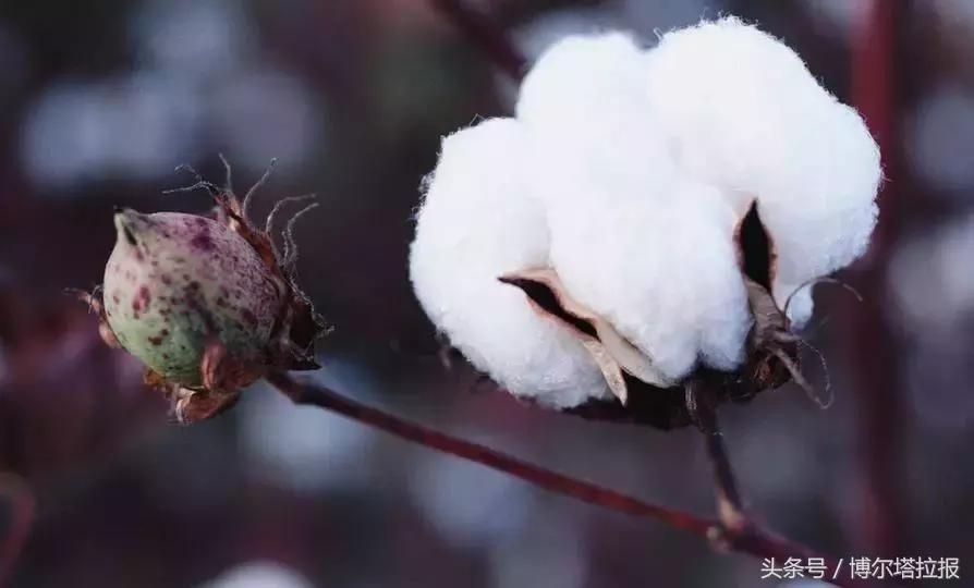 瑪納斯縣交通運輸局最新領導概況