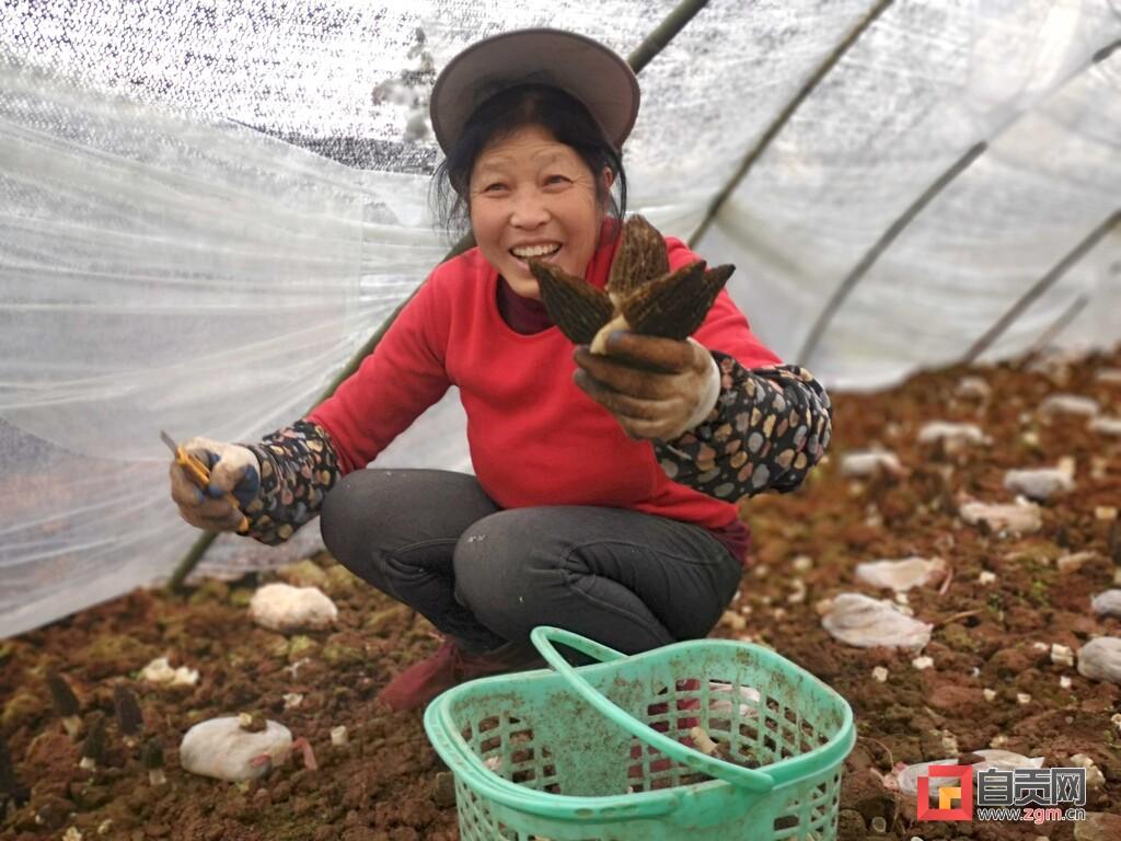 大獲村新項目啟動，鄉村振興新篇章