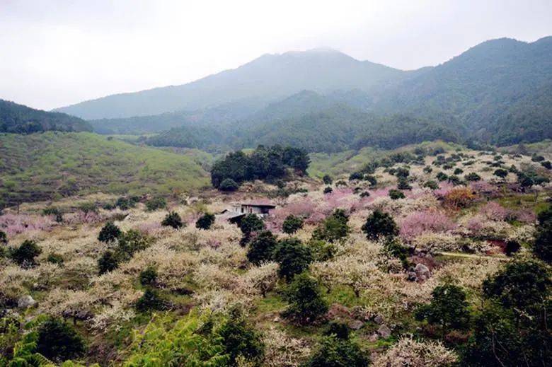 梁化鎮最新項目，引領地方發展的強大引擎