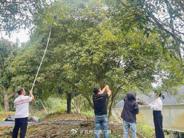 桂花林村鄉村振興與社區發展新篇章報道