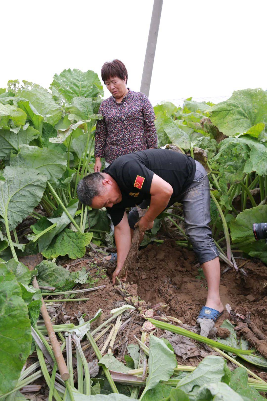 丁河村民委員會最新發展規劃概覽