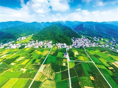 茨巖塘鎮未來繁榮藍圖，最新發展規劃揭秘