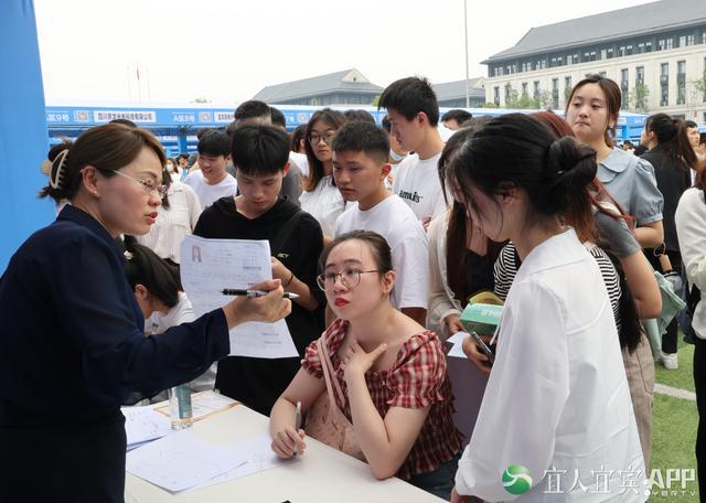 宜賓縣教育局最新招聘信息詳解