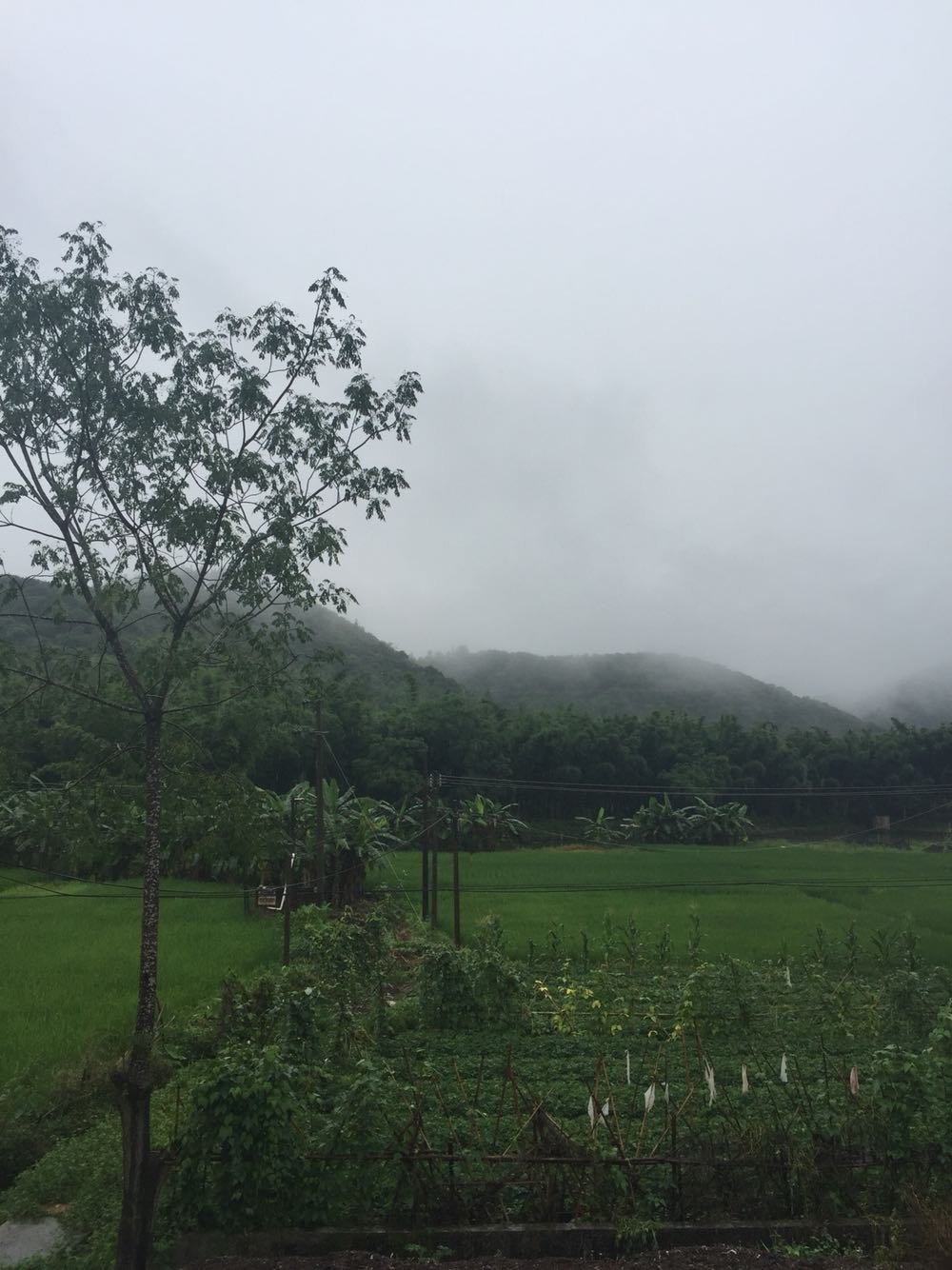 黃雷鄉天氣預報更新通知