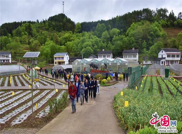 下木達村最新發展規劃