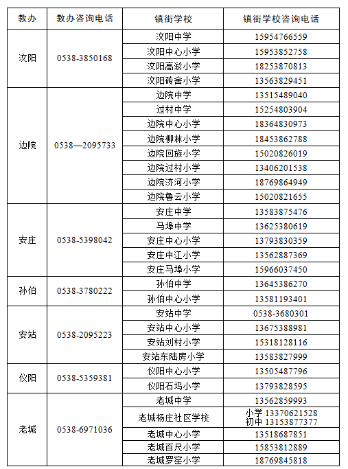 肥城市小學未來發展規劃展望