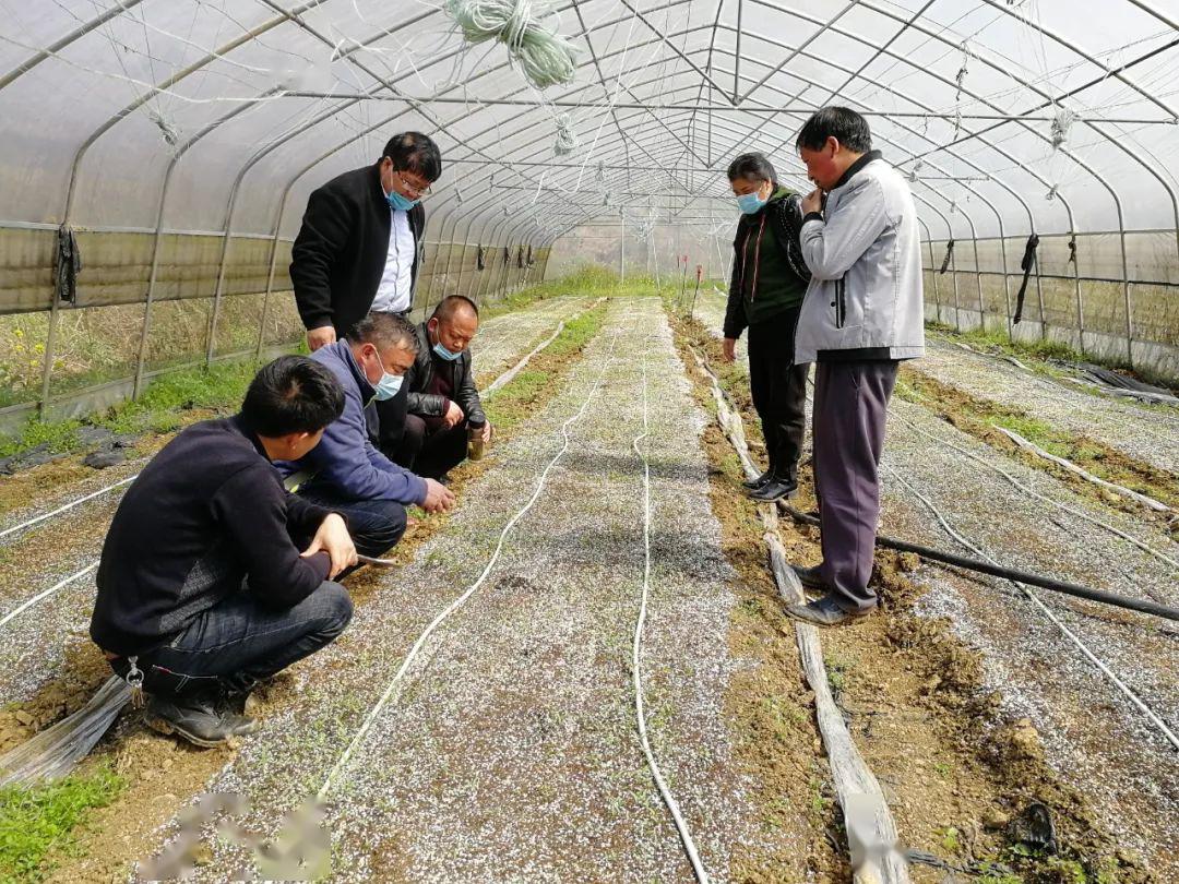 大方縣農業農村局最新動態報道