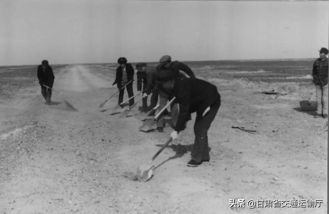 八棵樹鎮發展規劃概覽，未來藍圖揭曉