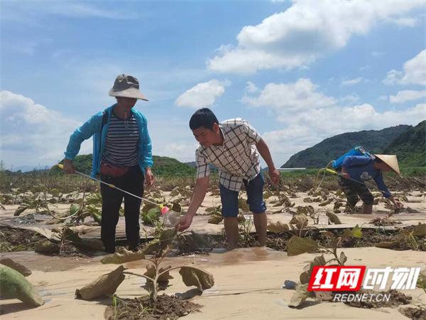 大荒鄉最新新聞速遞