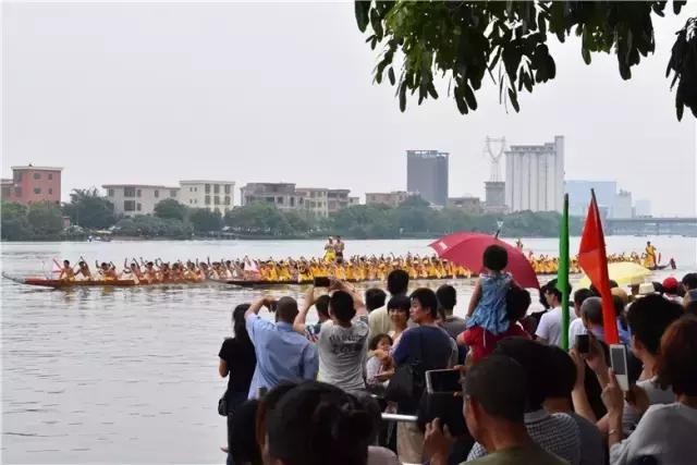 大龍鄉未來藍圖，最新發展規劃引領鄉村重塑