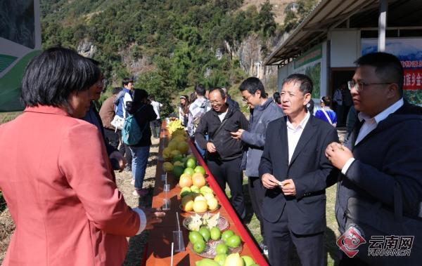 求果嘎村最新領導，引領村莊走向新篇章