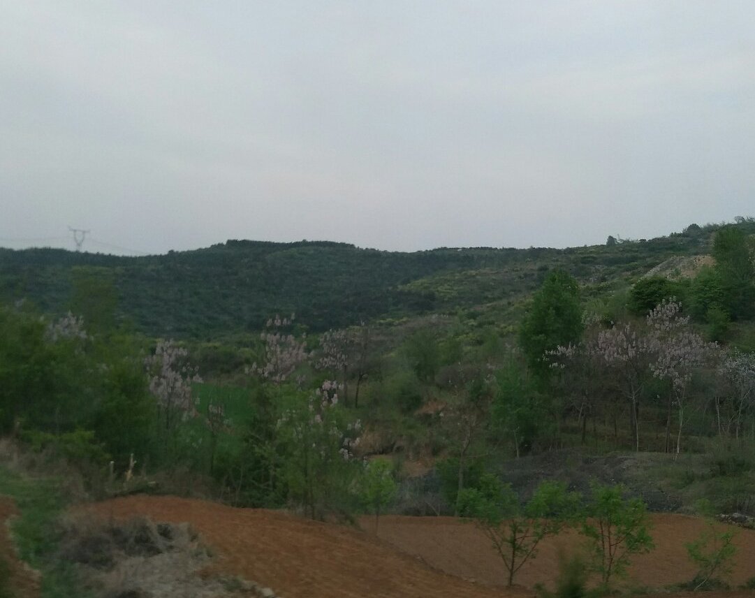 山西省晉城市陽城縣寺頭鄉最新天氣預報